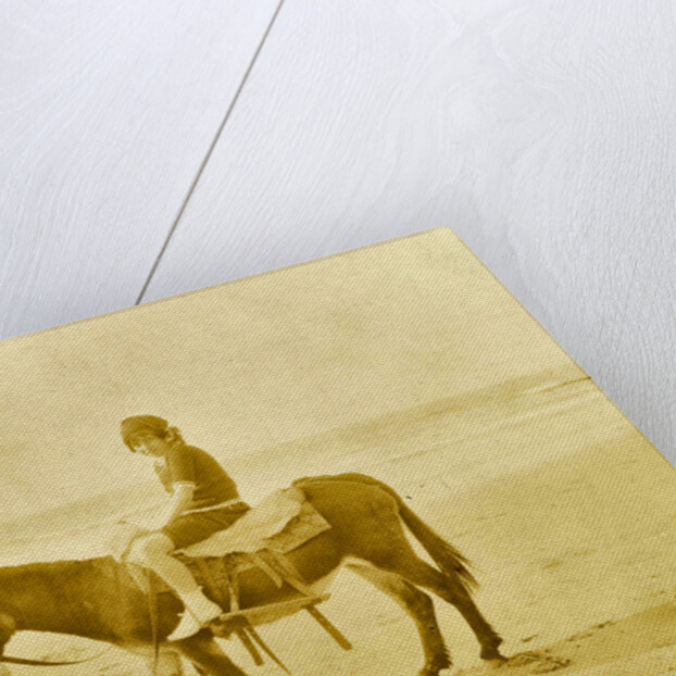 Girl on donkey on the beach North Sea, the Netherlands or Germany by Anonymous