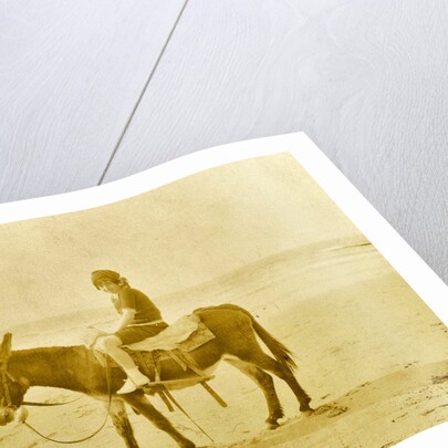 Girl on donkey on the beach North Sea, the Netherlands or Germany by Anonymous