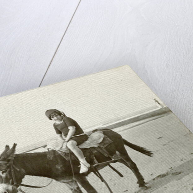 Girl on donkey on the beach (North Sea), the Netherlands or Germany by Anonymous