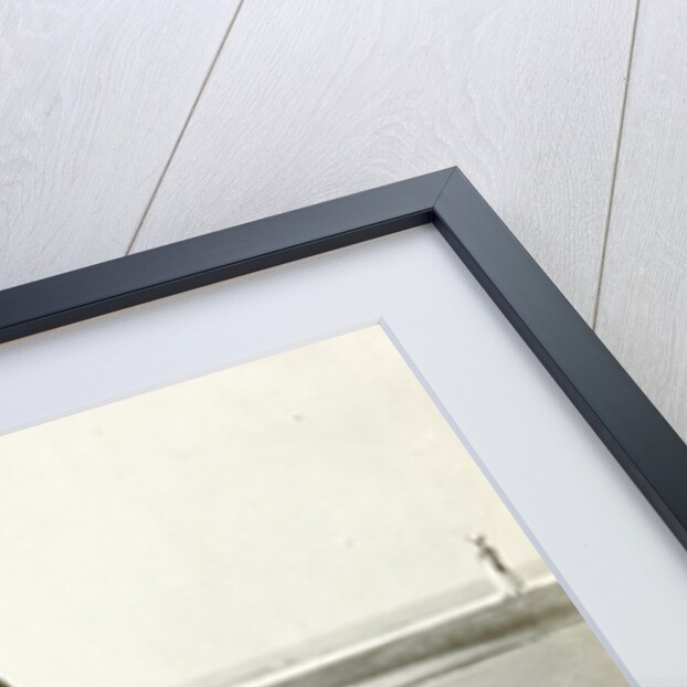 Girl on donkey on the beach (North Sea), the Netherlands or Germany by Anonymous