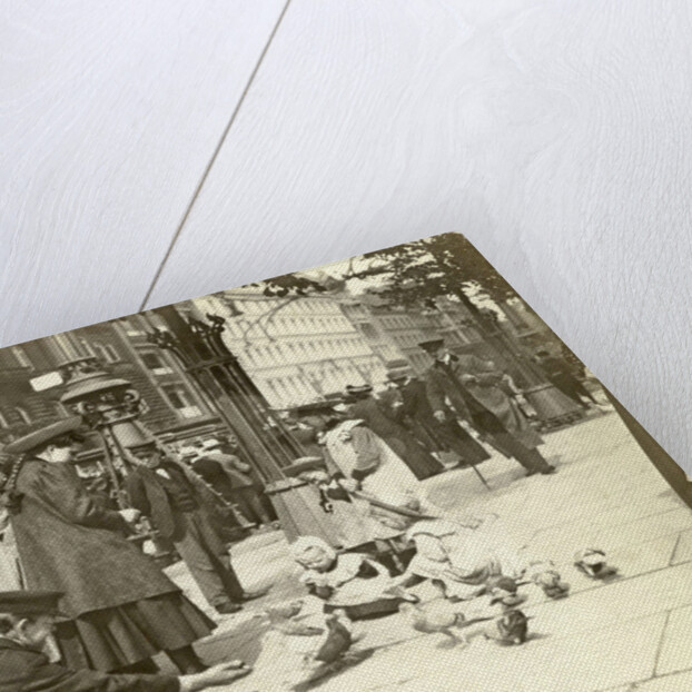 Pigeons enter a town by Anonymous