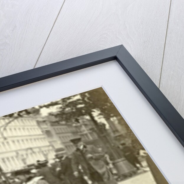 Pigeons enter a town by Anonymous