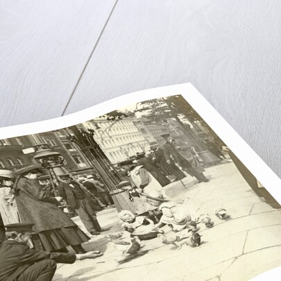 Pigeons enter a town by Anonymous