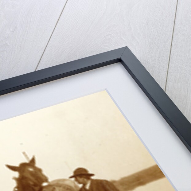 Two horses, a cart and a man in a trench by Anonymous