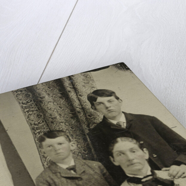 Portrait of a woman and two boys by Anonymous