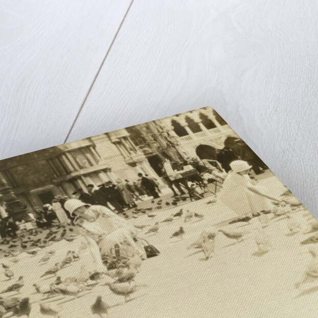American tourists wearing pigeons in Piazza San Marco, Venice, Italy by Anonymous