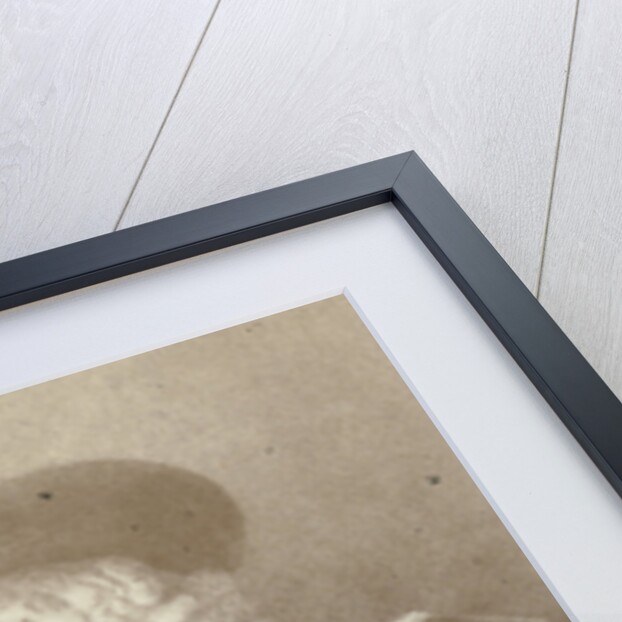 Engraving after Rembrandt's portrait of Jan Six, Gustav Schauer by Rembrandt Harmensz. van Rijn