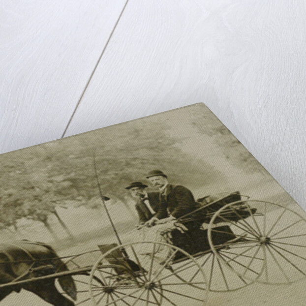 William and Henry Titus in Prospect Park, Brooklyn NY USA by American Photograph Company