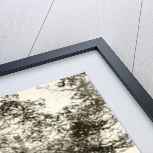 Residents for their wooden house by Anonymous