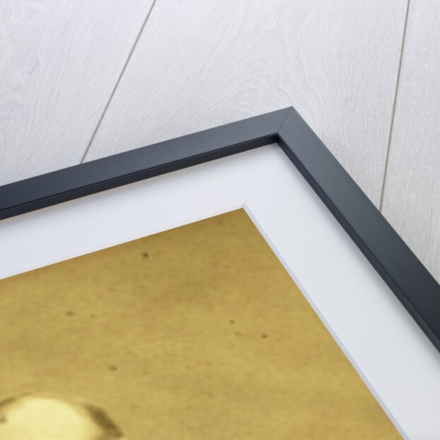 Portrait of Edouard Mussche by Jean Preim