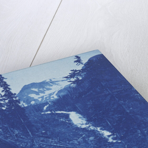 Christmas Greeting, view in Emogen ? Creek, Colorado, USA by Gillander