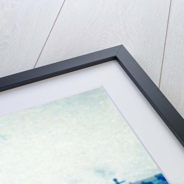 Overview of the threshing machine by Anonymous