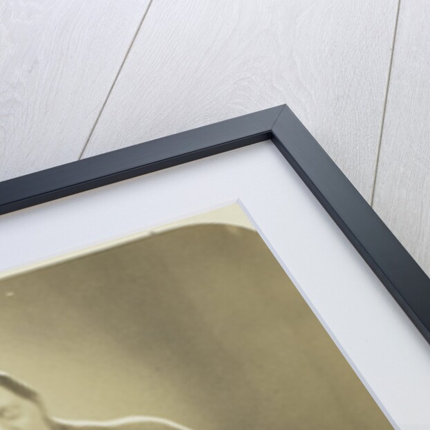 Portrait of Oppenheim, brothers in law of the photographer by Eduard Isaac Asser