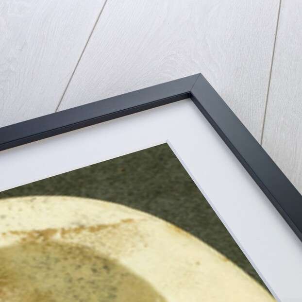 Portrait of a Young Woman with hairnet by Eduard Isaac Asser