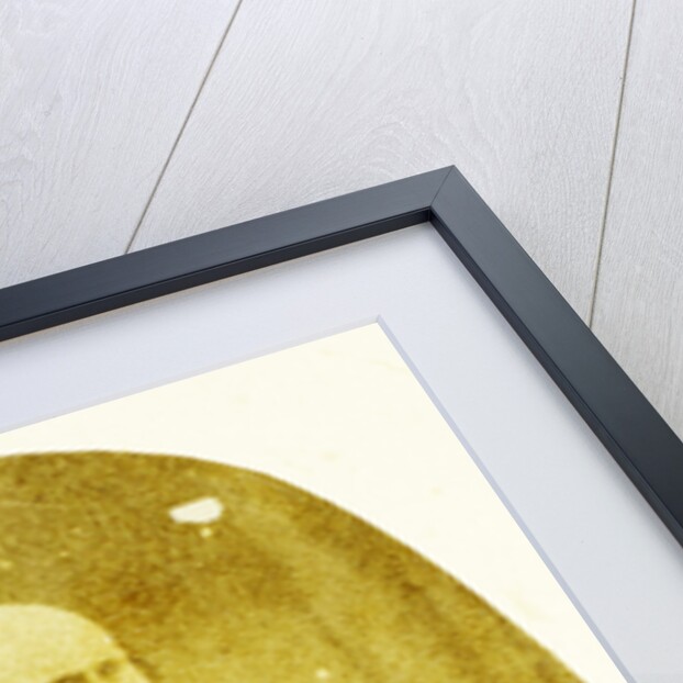 Portrait of Marie Eugène Bour by Eduard Isaac Asser