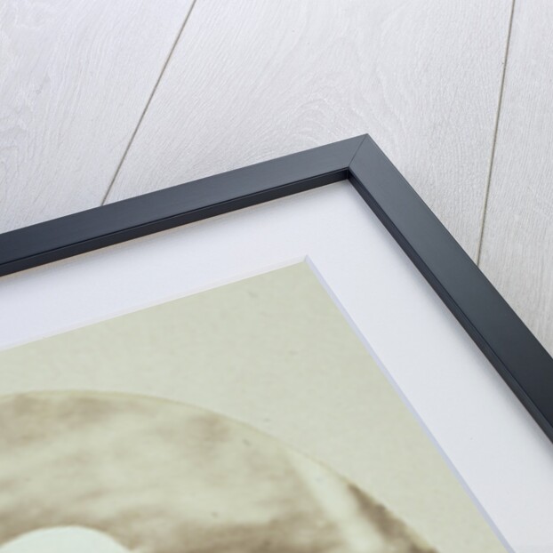 Portrait of Marie Eugène Bour for the balustrade of the garancine factory by Eduard Isaac Asser