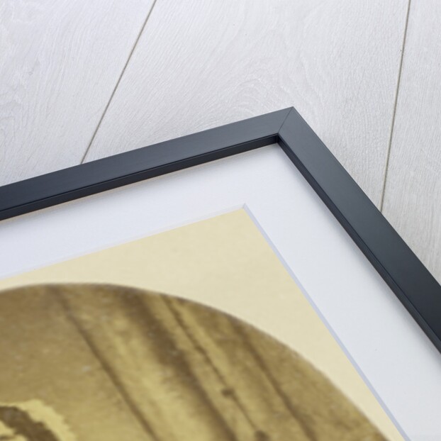 Portrait of Euphrosine Asser Oppenheim by Eduard Isaac Asser