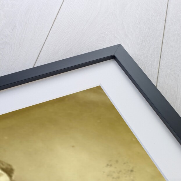 Studio Portrait of a young man, Paris, France by Eduard Isaac Asser