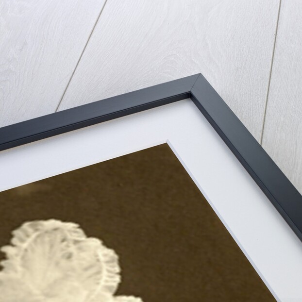 Portrait of a girl with hat and cat by Walter Barnett