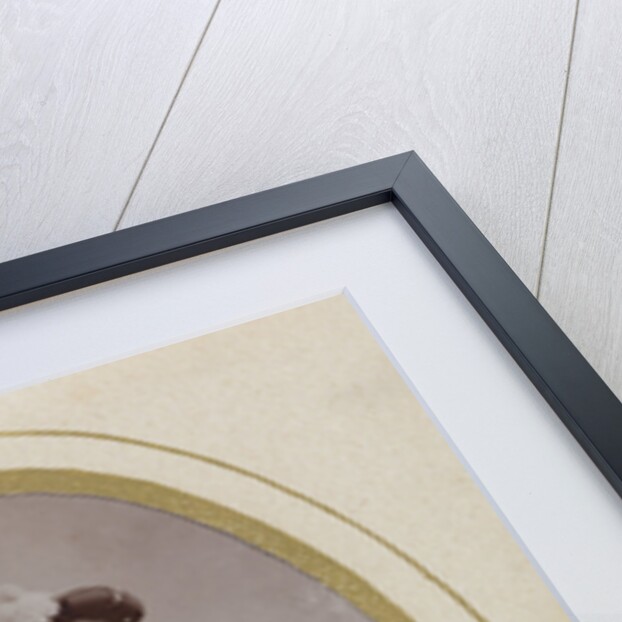 J. W Schover by Albert F. van der Stok