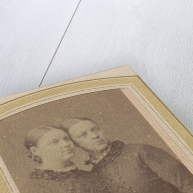 Portrait of two women in dresses, possibly twins by Anonymous