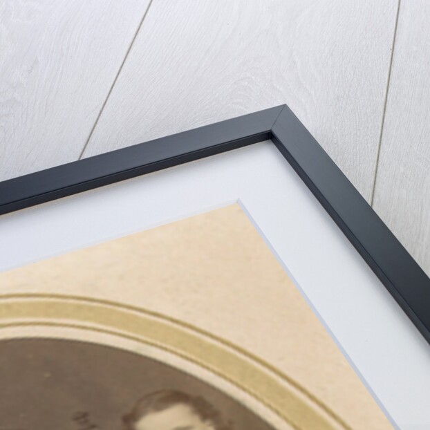 Photo album of a Dutch family with 168 cartes-de-visite and cabinet pictures by Anonymous