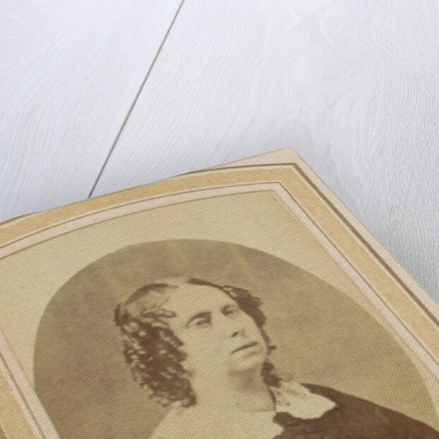 Photo album of a Dutch family with 168 cartes-de-visite and cabinet pictures by Anonymous