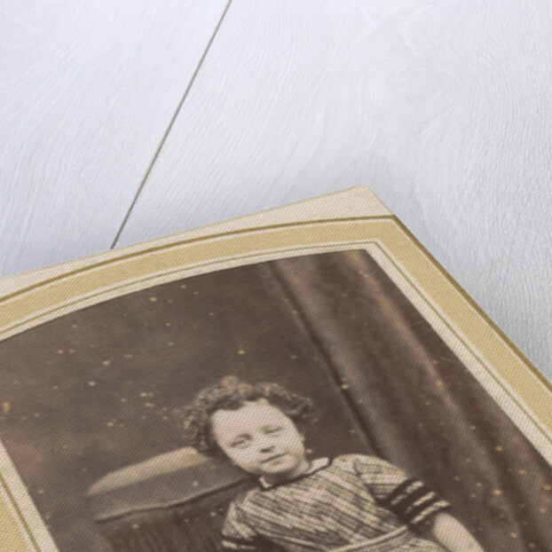 Photo album of a Dutch family with 168 cartes-de-visite and cabinet pictures by R. Becher