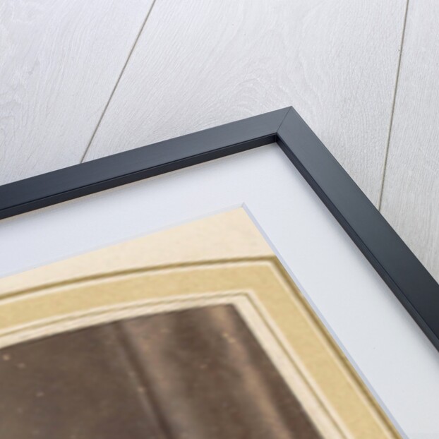 Photo album of a Dutch family with 168 cartes-de-visite and cabinet pictures by R. Becher