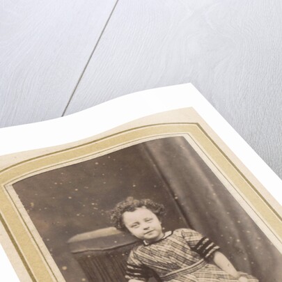 Photo album of a Dutch family with 168 cartes-de-visite and cabinet pictures by R. Becher