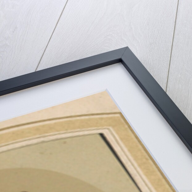 Photo album of a Dutch family with 168 cartes-de-visite and cabinet pictures by J.H. van der Laag