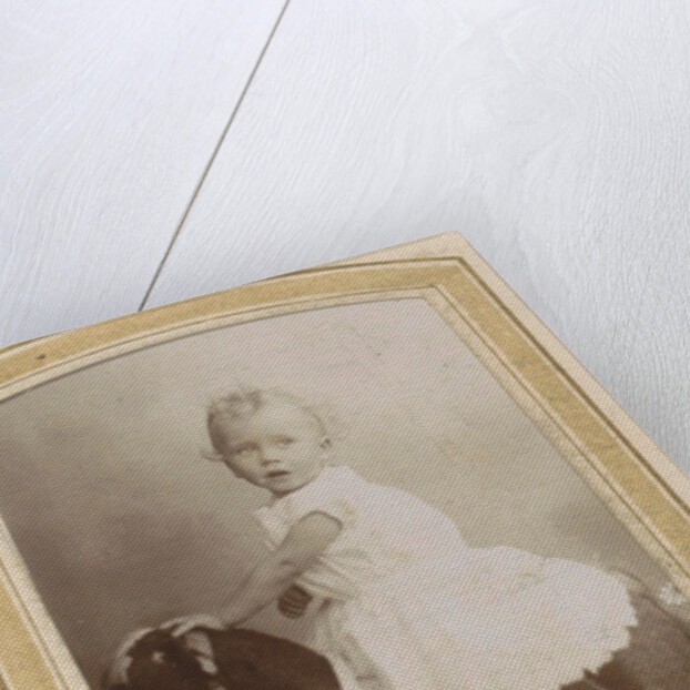 Portrait of a toddler in a dress on a rocking horse by C.J.L. Vermeulen