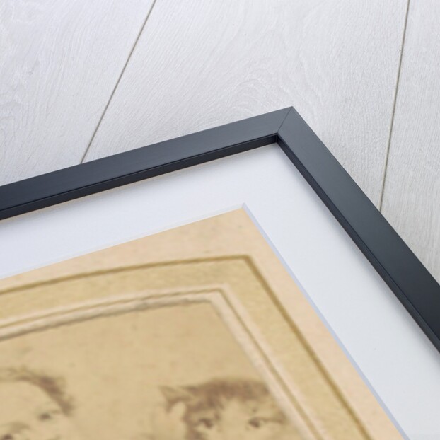 Ppicture of a child that a cat dresses by Anonymous