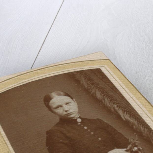 Portrait of a seated woman in a long dress with a twig in hand by H. Bulens Jr