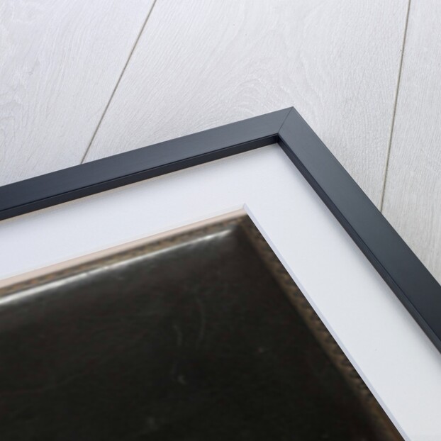 Family album by Anonymous