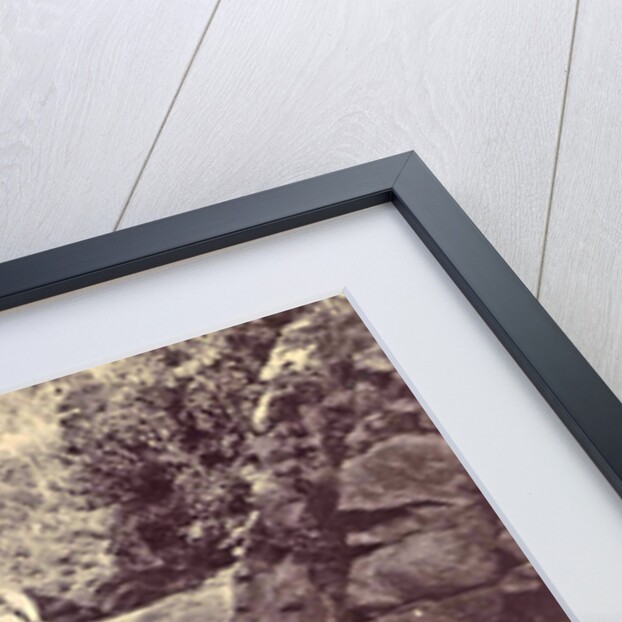 Indian men at a waterfall at Batu Gantong in Ambon by Anonymous