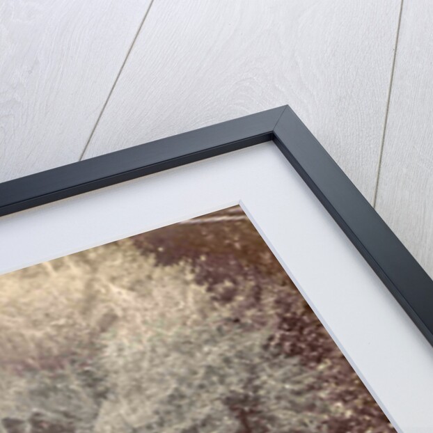 Guitar playing man at a waterfall at Batu Gantong in Ambon, Indonesia by Anonymous