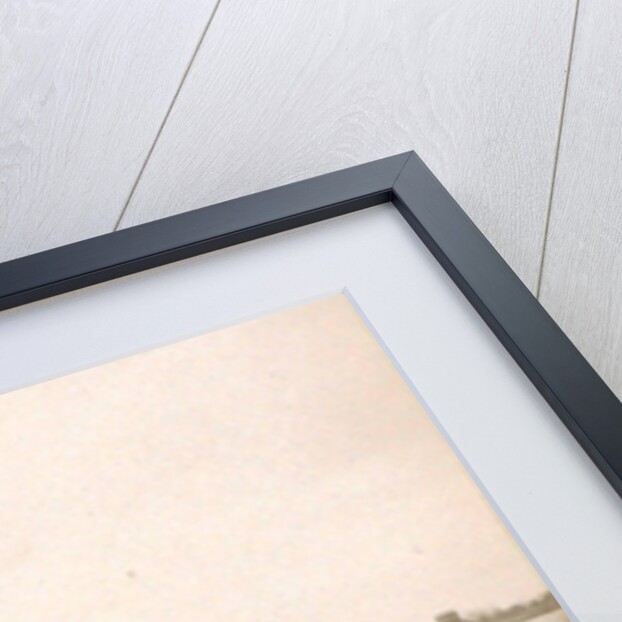 Devastated house in a flooded suburb of Paris by Anonymous