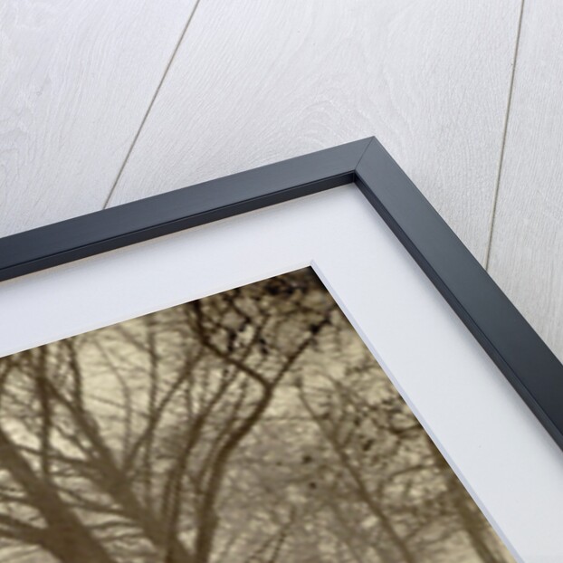 Flooded Seine River with trees, boats and public during flooding of Paris, France by Anonymous