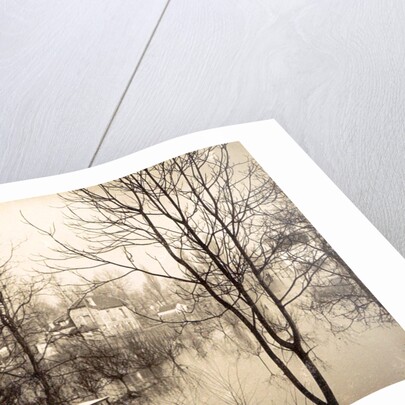 house flooded suburb of Paris seen through bare trees, France by Anonymous