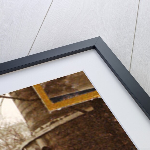 album flooding Paris suburbs in 1910, France by Anonymous