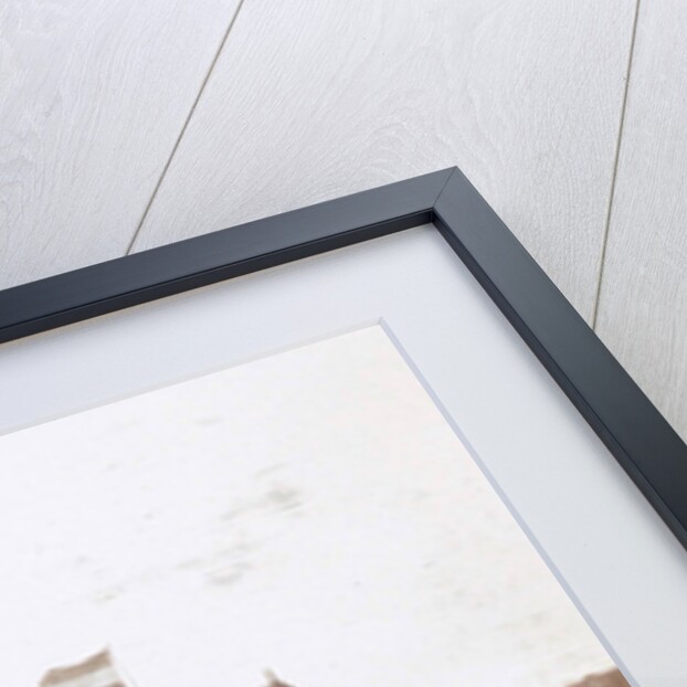 Adorned boathouse Rowing and sailing club De Amstel at the celebration of the 25th anniversary of the Amsteldijk by Anonymous