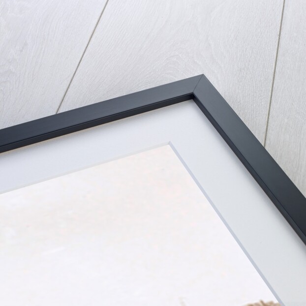 Family Album including pictures of Wijnhandel Kraaij & Co. Bordeaux Amsterdam by Anonymous