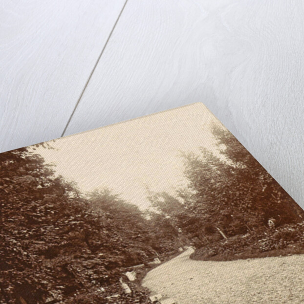 Family Album including pictures of Wijnhandel Kraaij & Co. Bordeaux Amsterdam by Anonymous