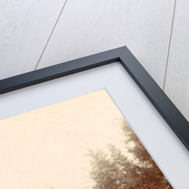 Family Album including pictures of Wijnhandel Kraaij & Co. Bordeaux Amsterdam by Anonymous