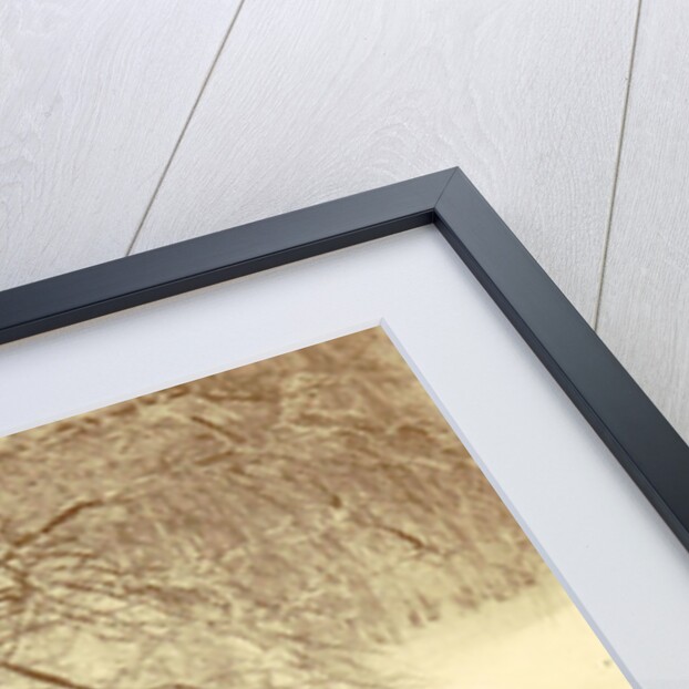 Children with swans in a hole by Anonymous