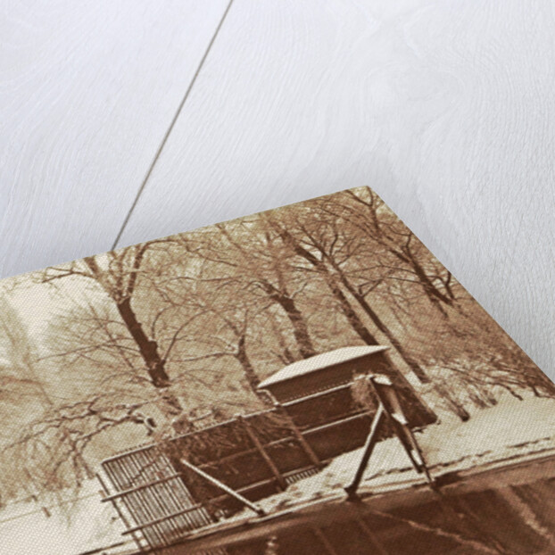 Swans in a pond in a snowy park by Anonymous