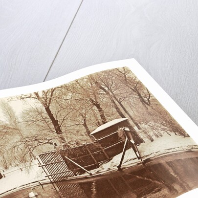 Swans in a pond in a snowy park by Anonymous