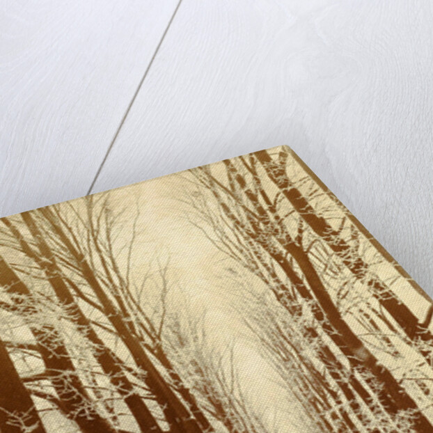 Snowy lane in a park, possibly Amsterdam by Anonymous