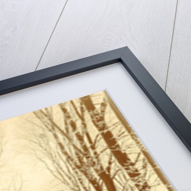 Snowy lane in a park, possibly Amsterdam by Anonymous